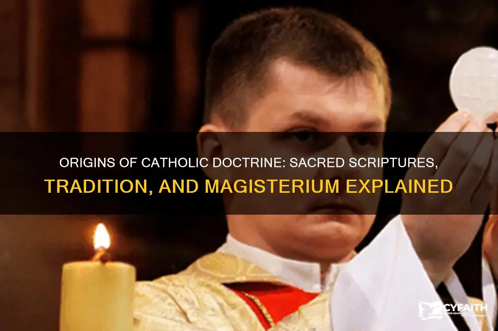 were does catholic doctrine come