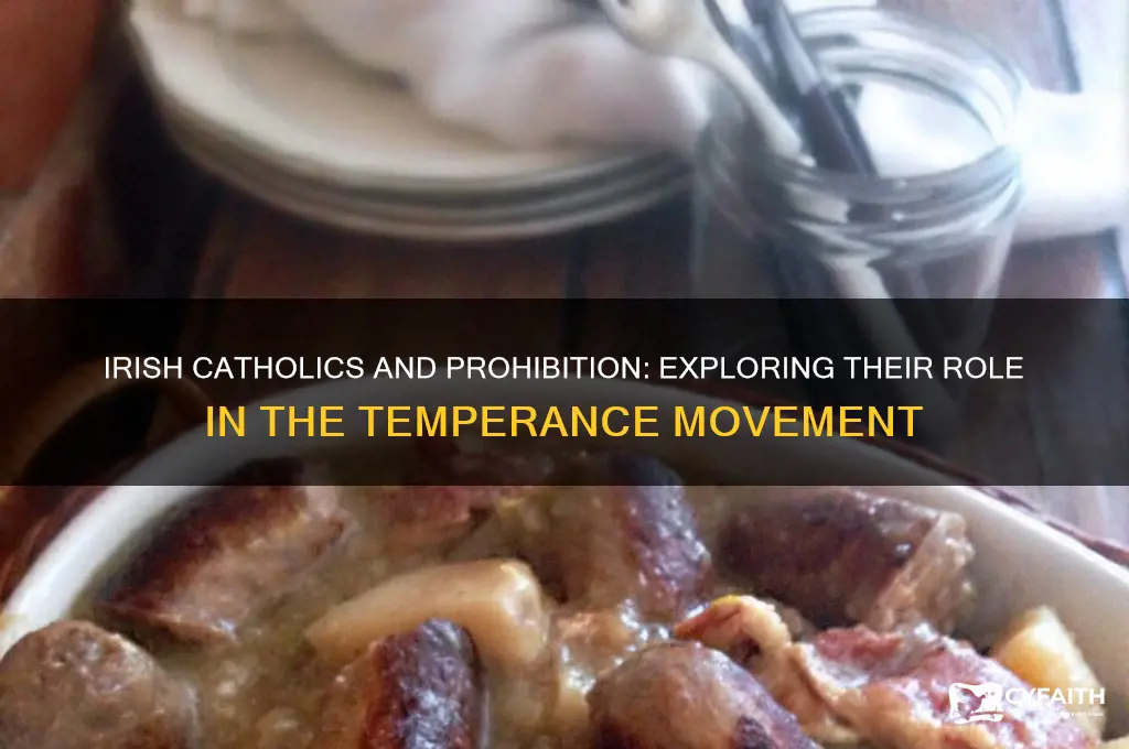 were irish catholics for prohibition