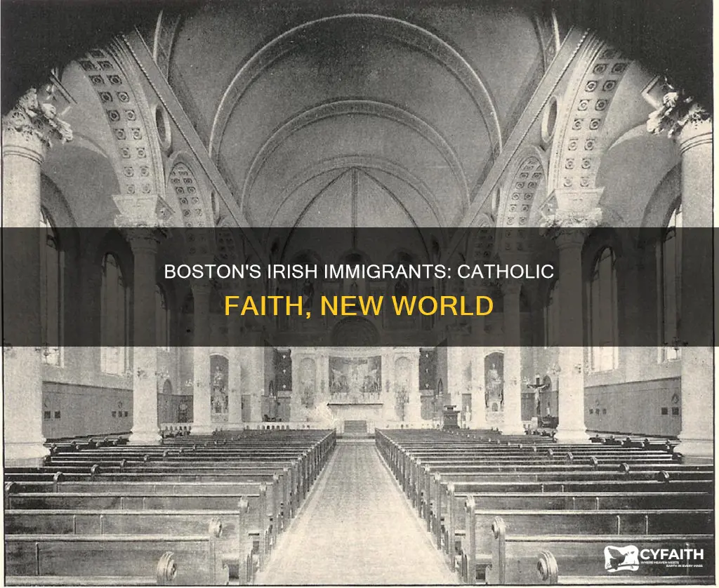 were irish immigrants to boston catholic