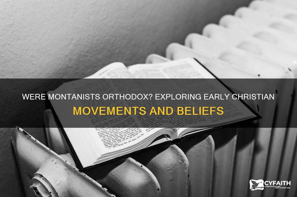 were montanist orthodox