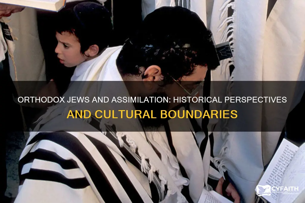 were orthodox jews open to assimilation