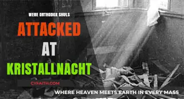 Kristallnacht's Fury: Did Orthodox Synagogues Face Nazi Attacks?