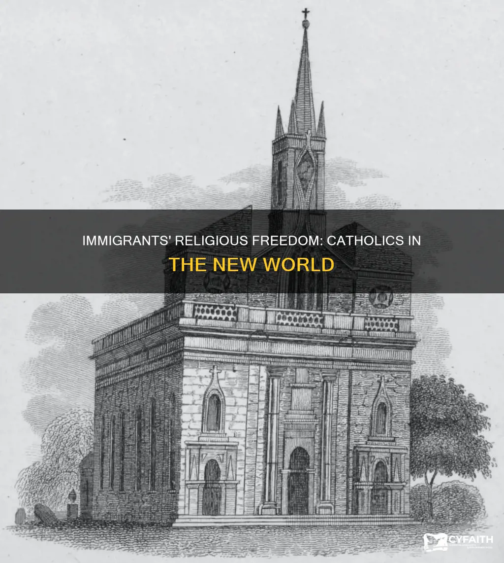 were people from the new immigratoin catholic