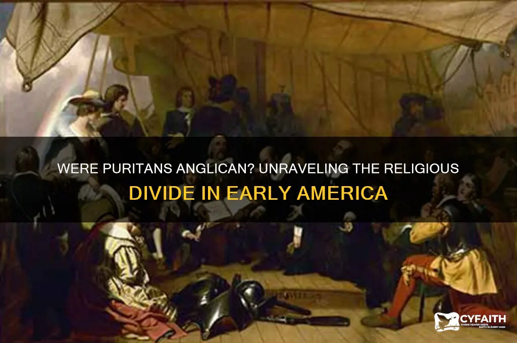 were puritans anglican
