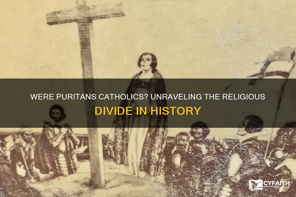 were puritans catholics