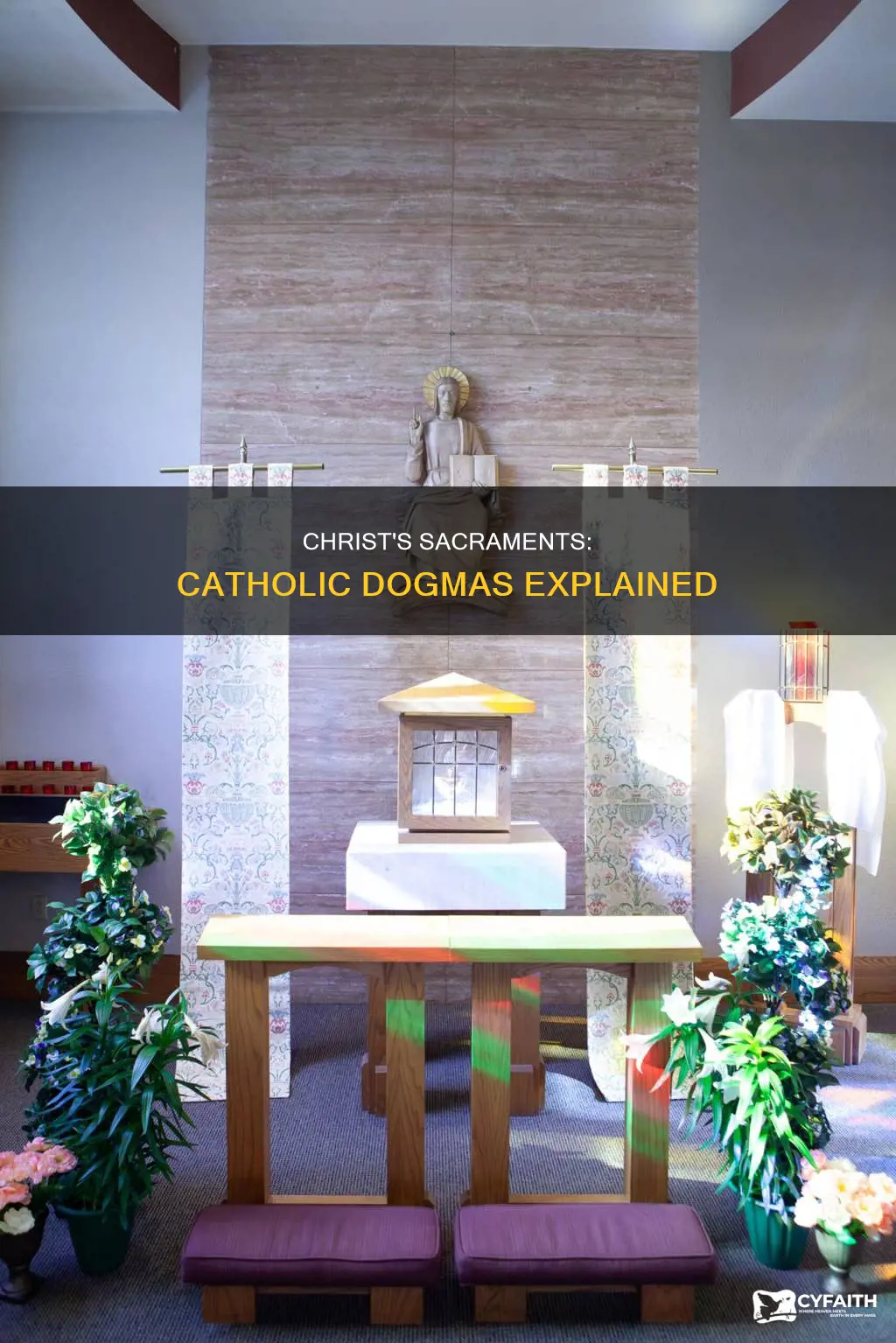 were sacraments inssituted by christ catholic dogmas