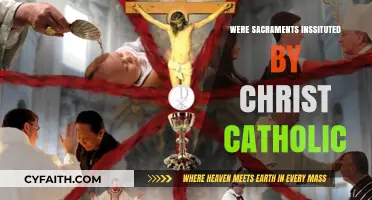 Christ's Catholic Sacraments: What's Their True Meaning?