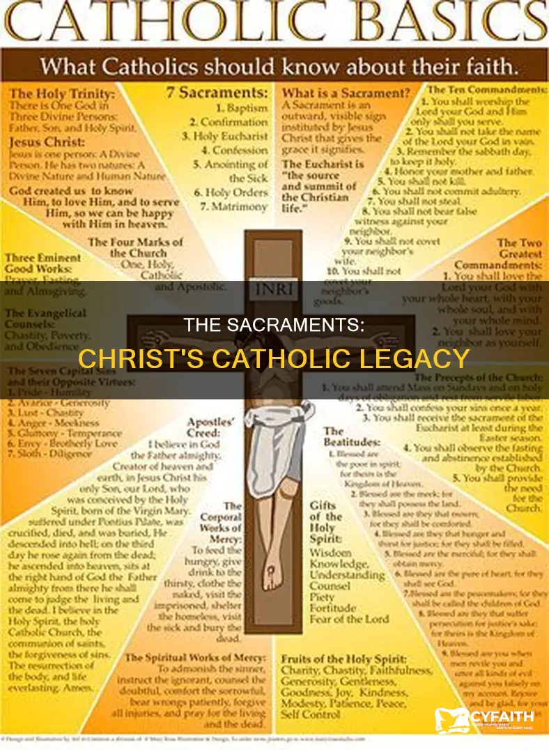 were sacraments instituted by christ catholic