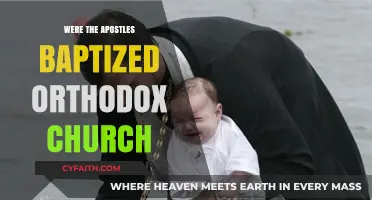 Were the Apostles Baptized in the Orthodox Church Tradition?