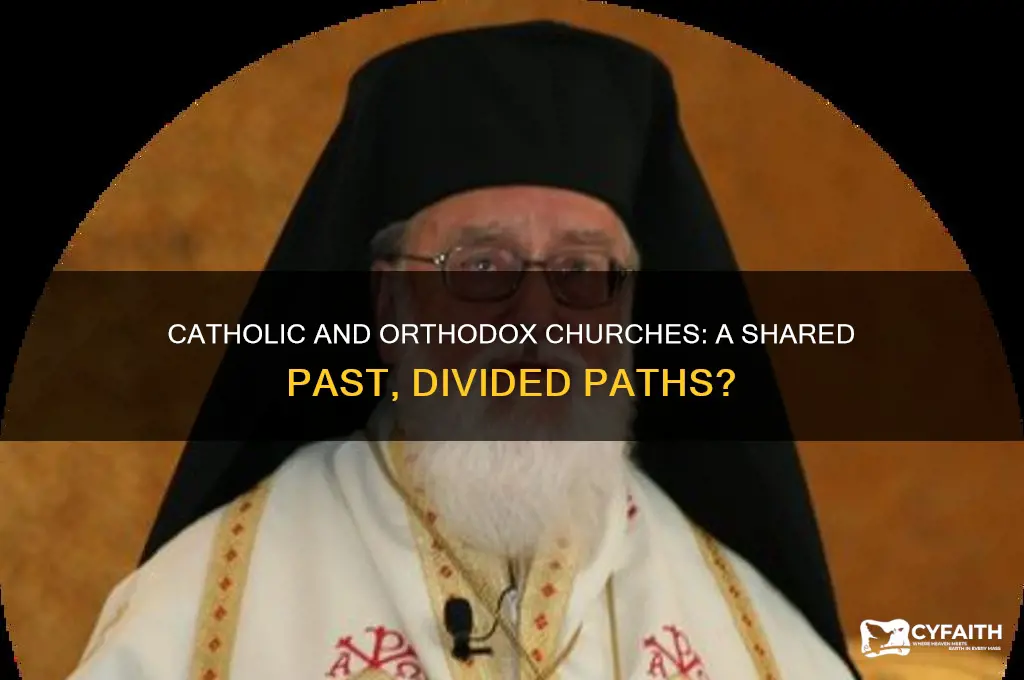 were the catholic and orthodox churches ever the same