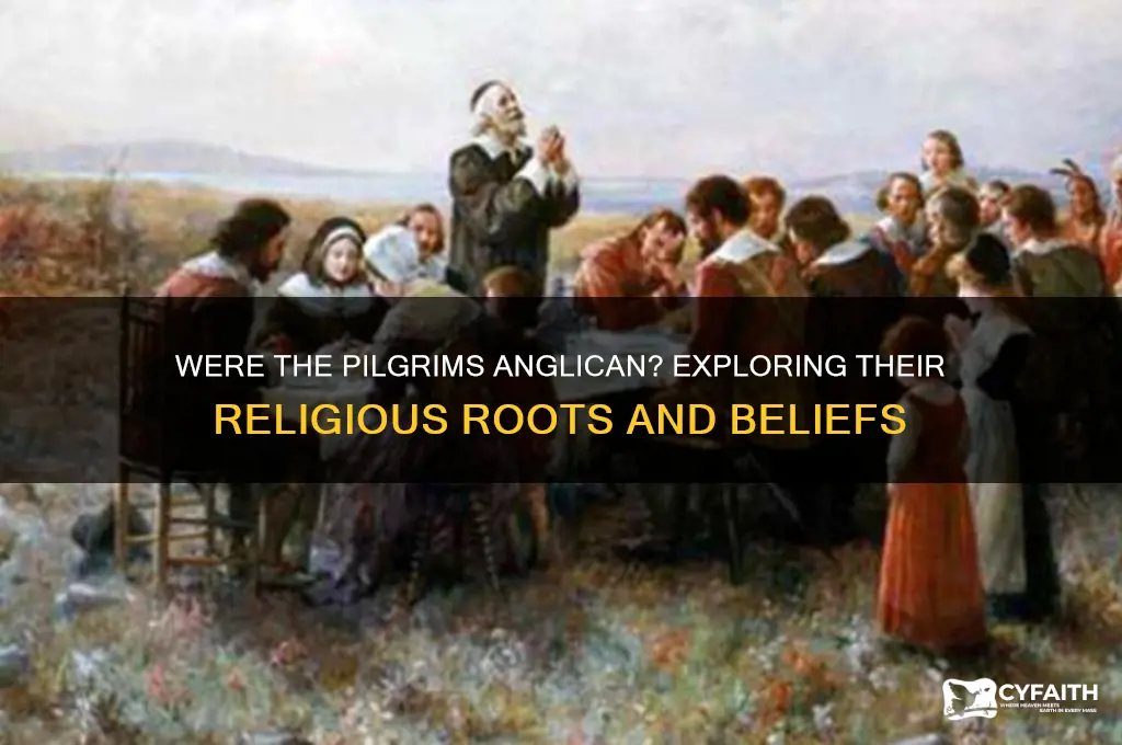 were the pilgrims part of the anglican church