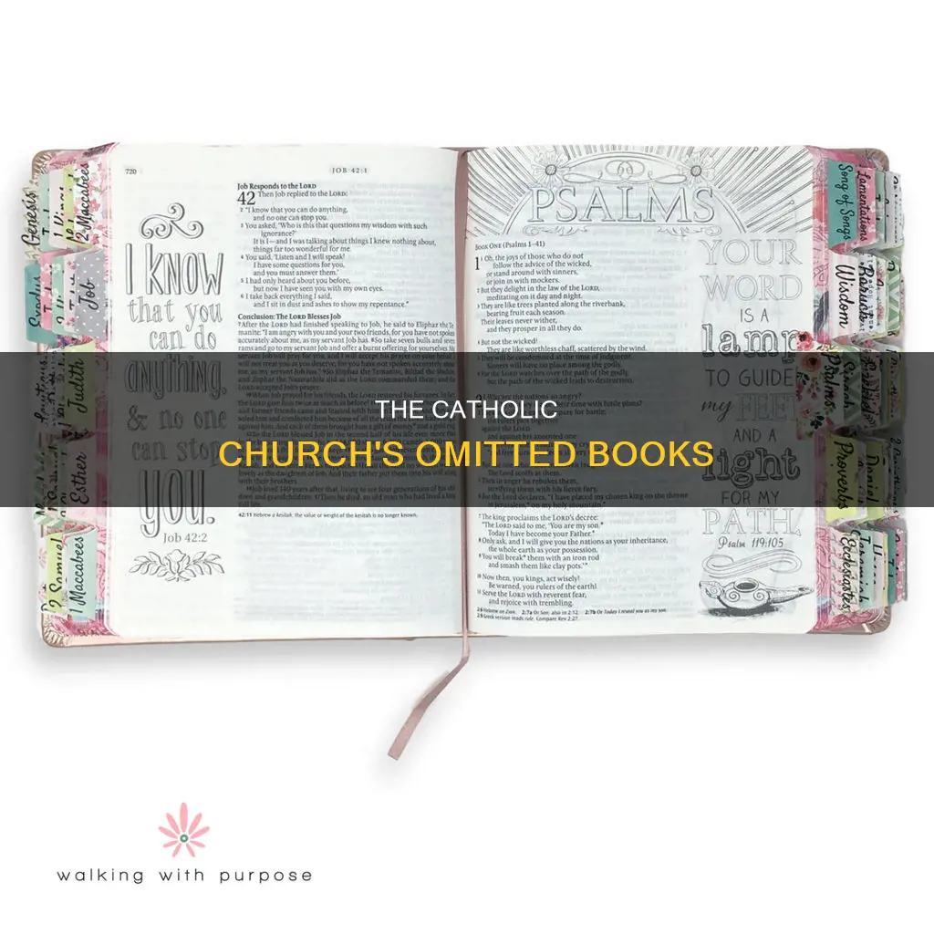 were there books left out of the catholic