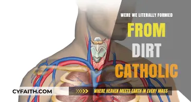 The Catholic Church's Take on Human Creation