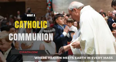 Understanding the Sacred Catholic Communion: Ritual, Meaning, and Faith