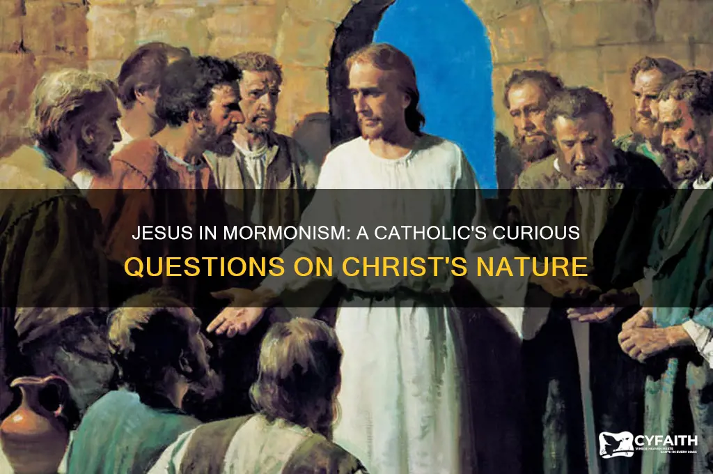 what a catholic would ask a mormon about jesus christ
