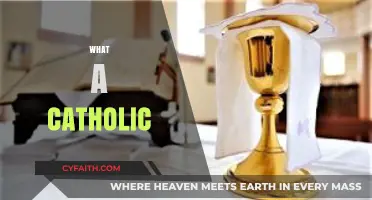 Understanding the Faith: What It Means to Be a Catholic Today