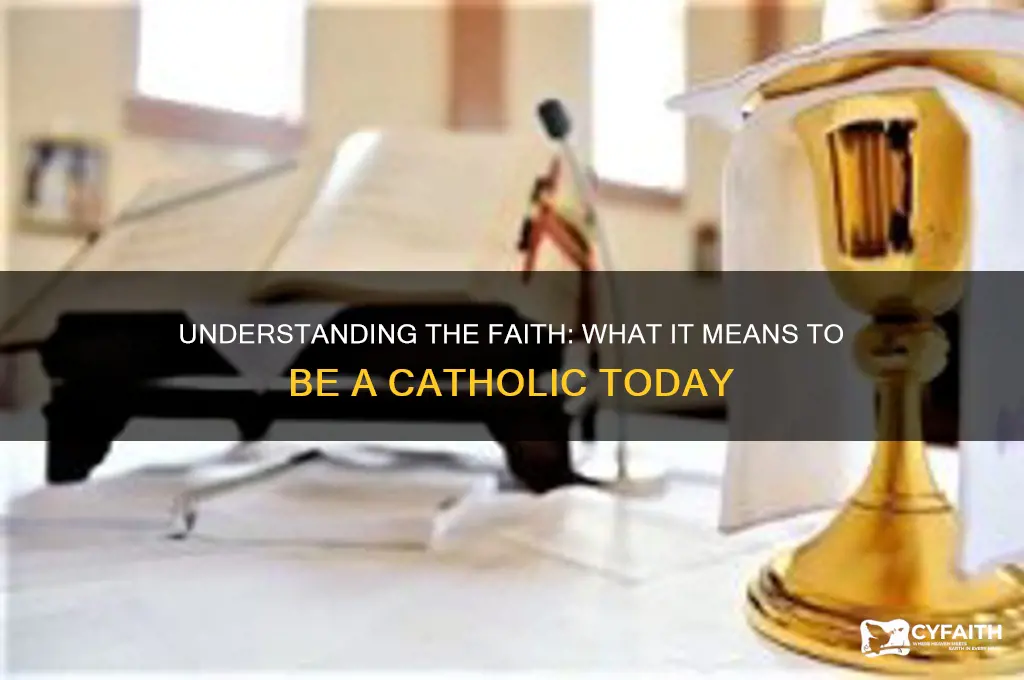 what a catholic