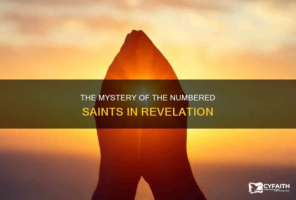 what about 14400o people in revelation catholic
