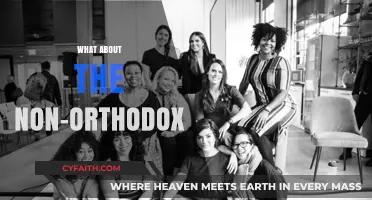 Embracing Diversity: Understanding and Including Non-Orthodox Perspectives