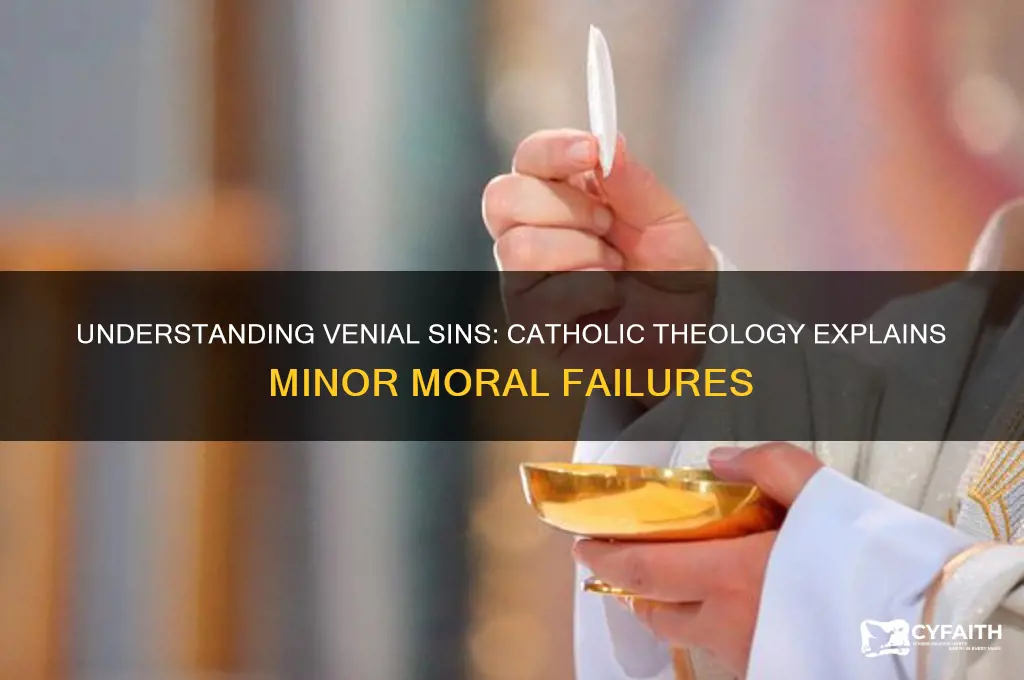 what according to catholic theology is a venial sin