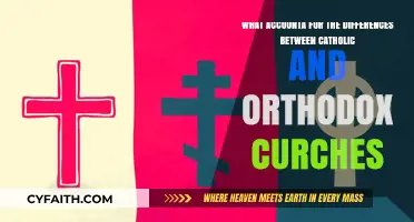 Catholic vs. Orthodox: Key Differences in Beliefs, Practices, and Traditions