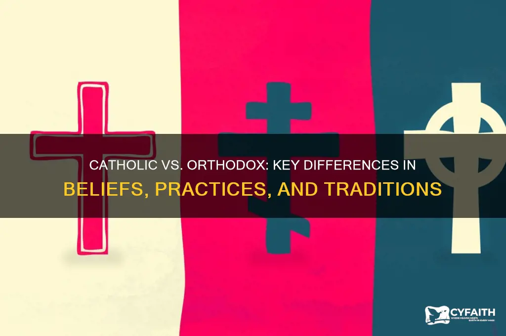 what accounta for the differences between catholic and orthodox curches