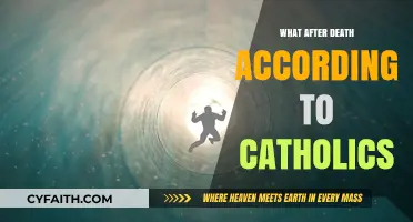 Life After Death: The Catholic Perspective
