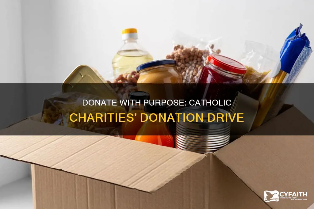 what all do catholic charities accepting donations