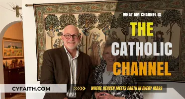 Catholic Channel: Which Platforms Broadcast It?