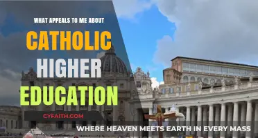 Catholic Higher Education: My Personal Appeal