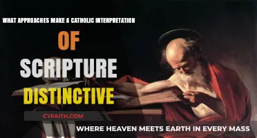 Distinctive Catholic Scripture Interpretation: Approaches, Traditions, and Theological Insights