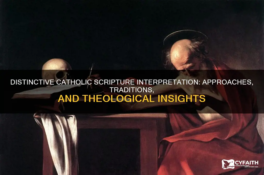 what approaches make a catholic interpretation of scripture distinctive