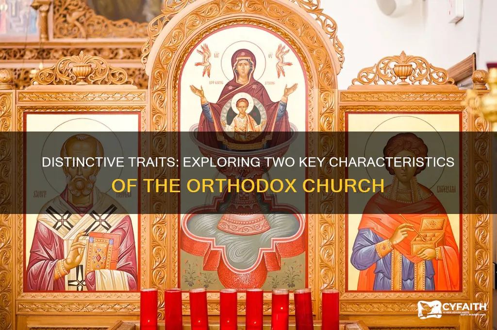 what are 2 characteristics of the orthodox church