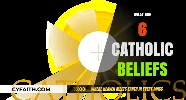 Understanding Core Catholic Beliefs: Six Essential Teachings Explained