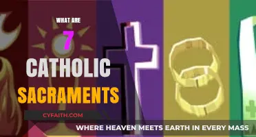 Understanding the Seven Sacred Catholic Sacraments and Their Significance