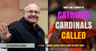 The Sacred College: A Group of Catholic Cardinals