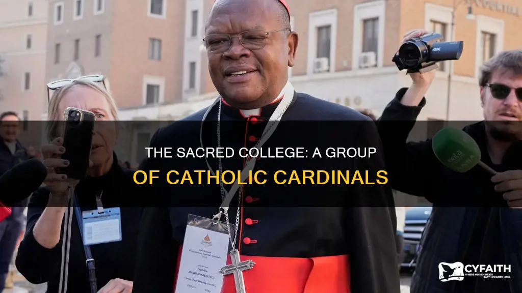 what are a group of catholic cardinals called