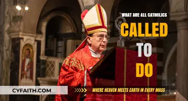 Catholics: Our Universal Calling and Mission