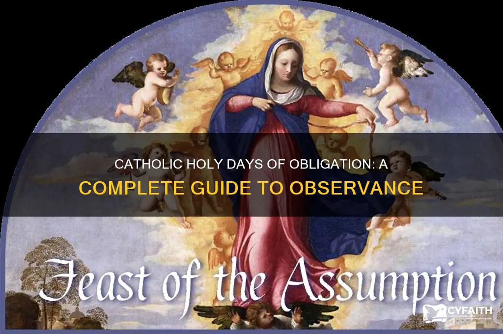 what are all the catholic holy days of obligation