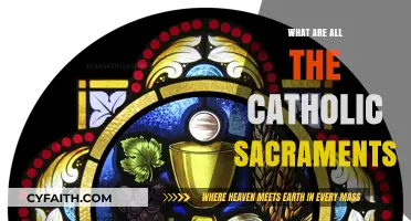 Understanding the Seven Catholic Sacraments