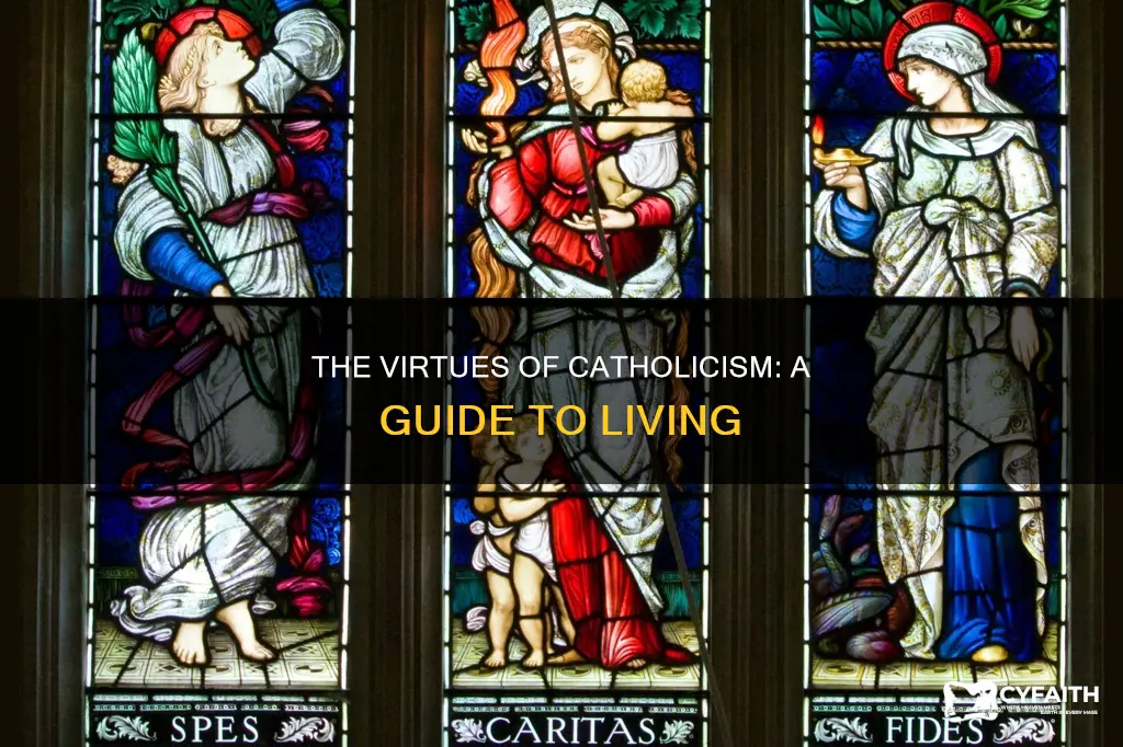 what are all the catholic virtues