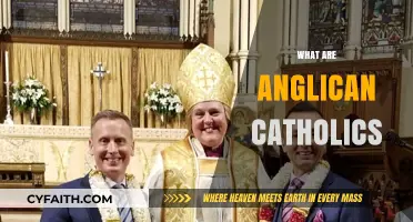 Understanding Anglican Catholics: Bridging Tradition and Reform in Christianity