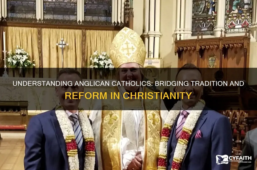 what are anglican catholics