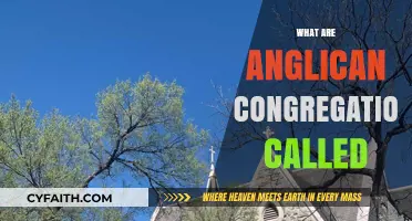 Understanding Anglican Congregations: What Are They Called and Why?