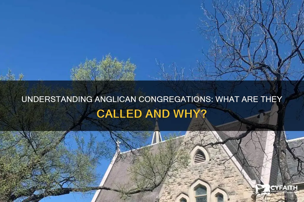 what are anglican congregations called