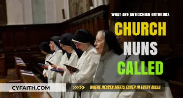 Antiochian Orthodox Church Nuns: Their Title and Monastic Tradition Explained