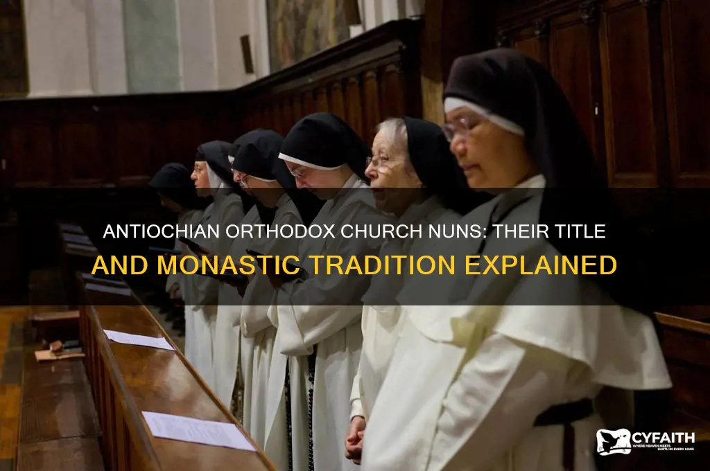 what are antiochian orthodox church nuns called