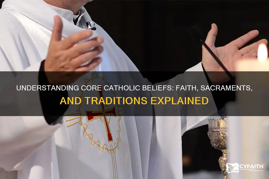 what are basic catholic beliefs