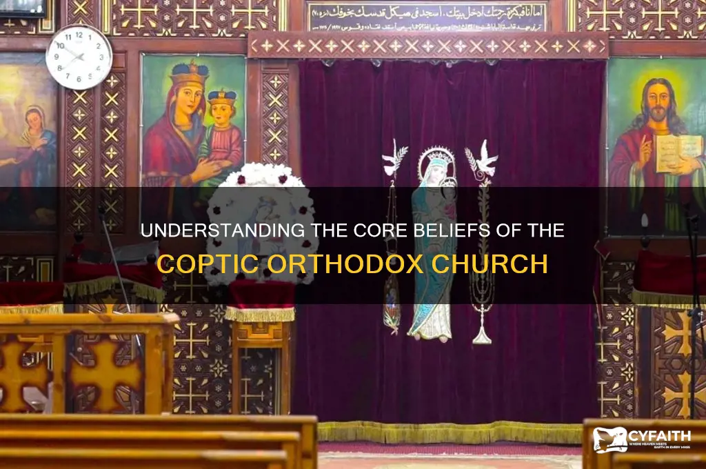 what are beliefs of coptic orthodox church