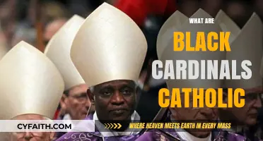 Understanding the Myth of Black Cardinals in the Catholic Church